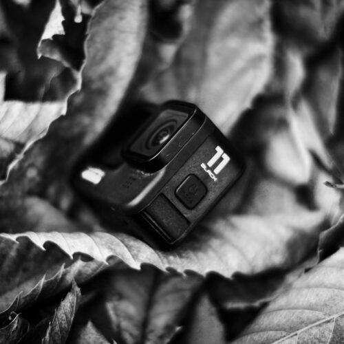 A GoPro camera lies among dry fallen leaves, captured in black and white.